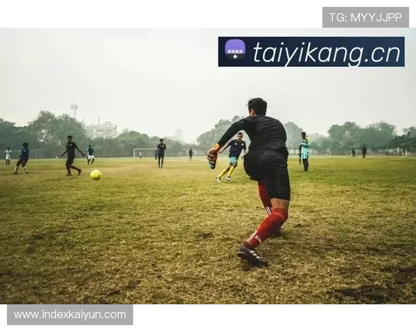 开云体育登入口常见问题及解决方案，助你轻松应对登录难题