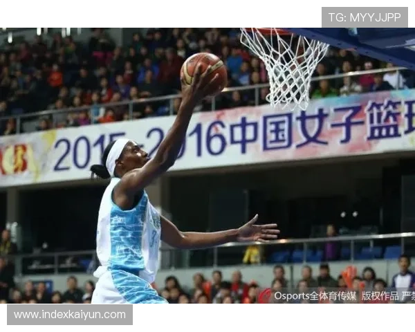 星空体育官网登录：新手必看的技巧与常见问题