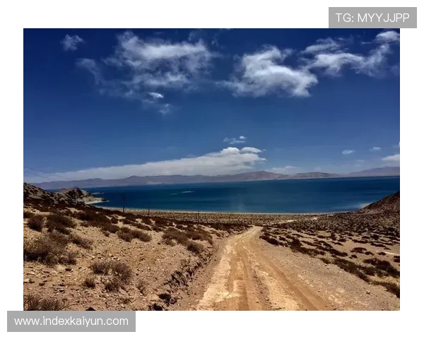 开云体育亚洲官方网站入口地址更新及安全登录流程全攻略