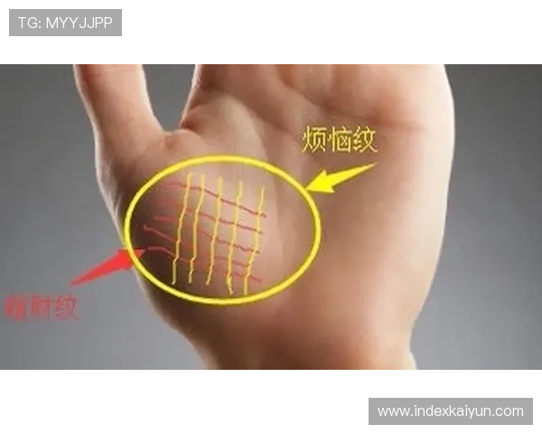 开运线图解实用案例分析助你更好理解命理线条的实际意义